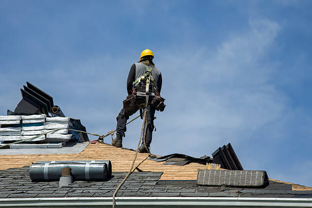 Professional Storm Damage Roof Repair technician working in Mcleod, ND
