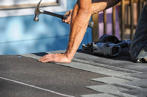 Affordable Storm Damage Roof Repair solutions in Mcleod, ND